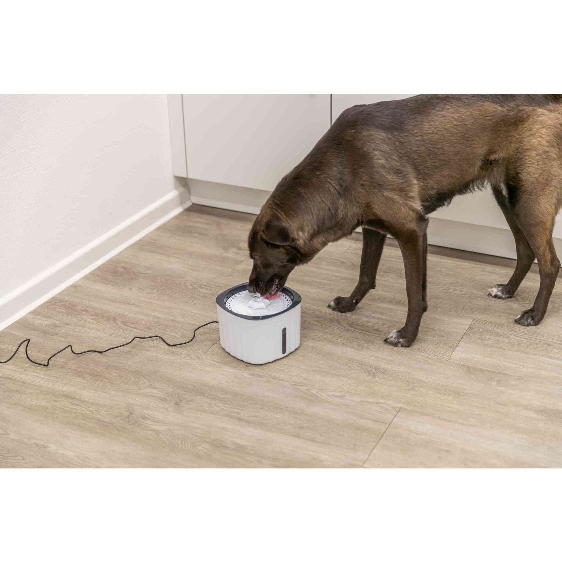 Flower Drinking Fountain for Dogs and Cats, 68Oz Automatic Water Dispenser