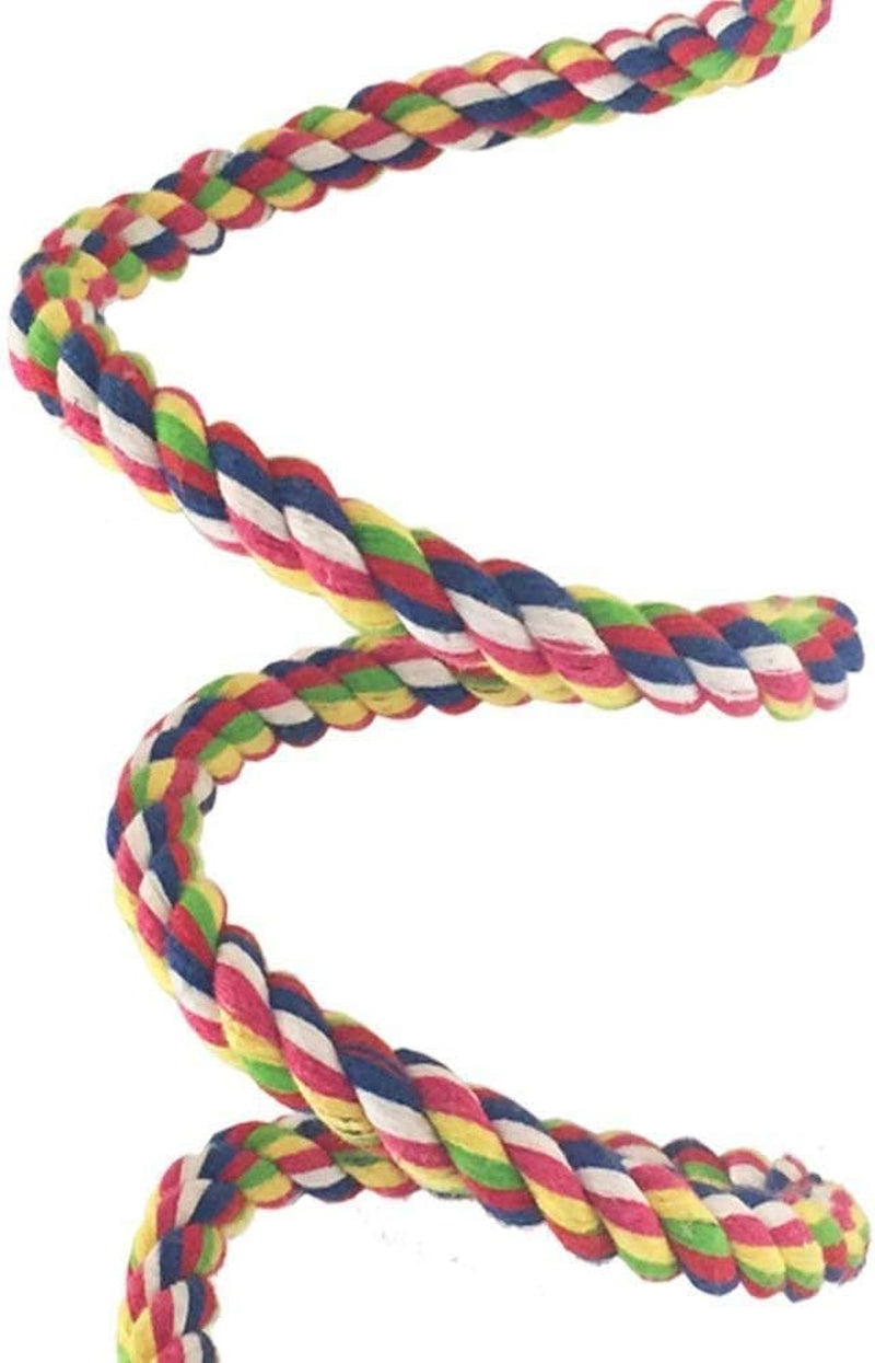 Bird Rope Perch - Flexible Spiral Bungee Stand for Parakeets, Cockatiels & Small Parrots (63 inch)