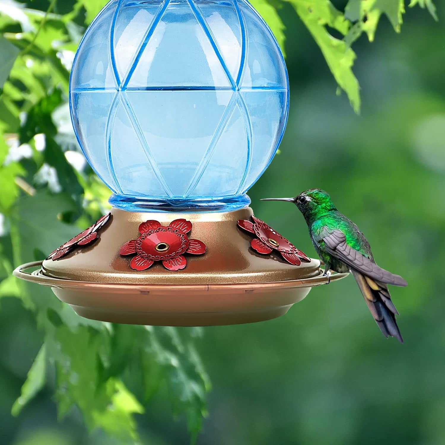 Glass Hummingbird Feeder – Hanging Outdoor Bird Feeder with 5 Feeding Ports, 20oz, Garden & Patio Decor (2-Pack)
