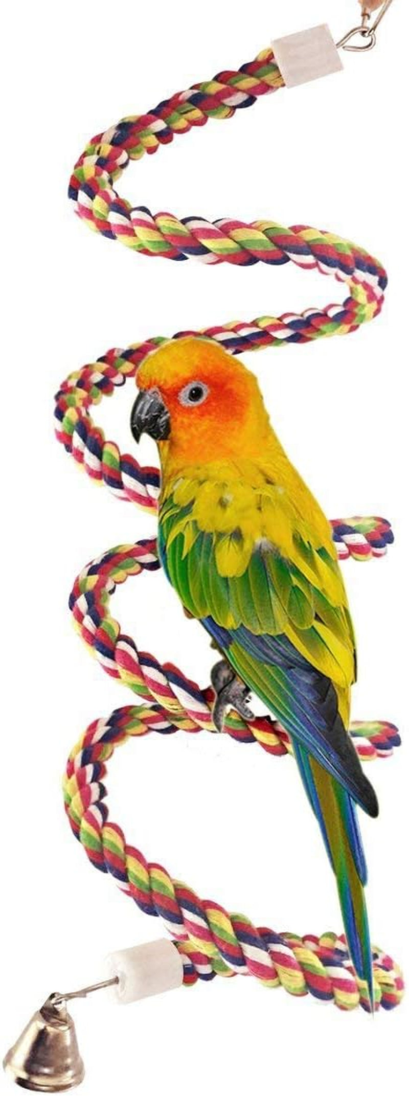 Bird Rope Perch - Flexible Spiral Bungee Stand for Parakeets, Cockatiels & Small Parrots (63 inch)