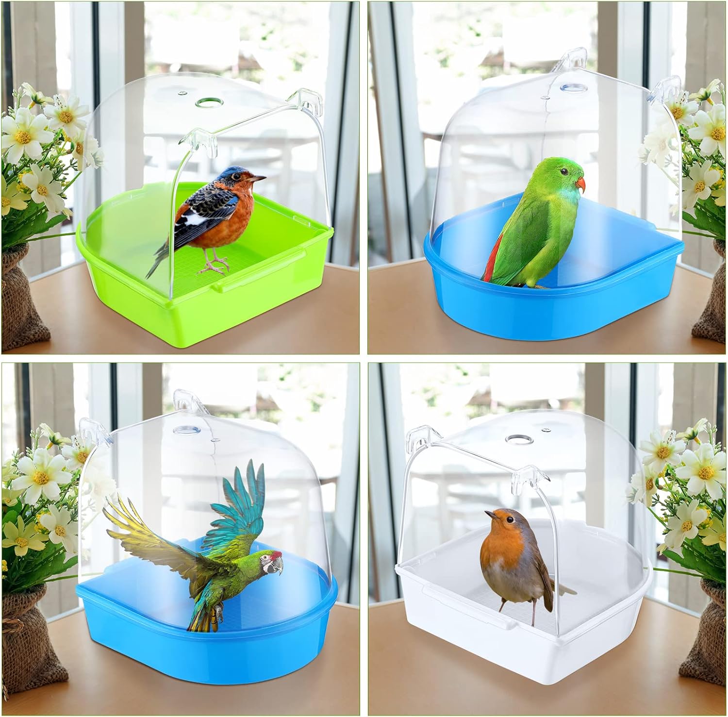 Bird bath box dimensions and hook detail