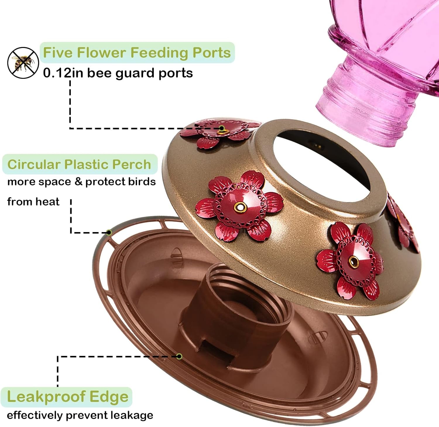 Glass Hummingbird Feeder – Hanging Outdoor Bird Feeder with 5 Feeding Ports, 20oz, Garden & Patio Decor (2-Pack)