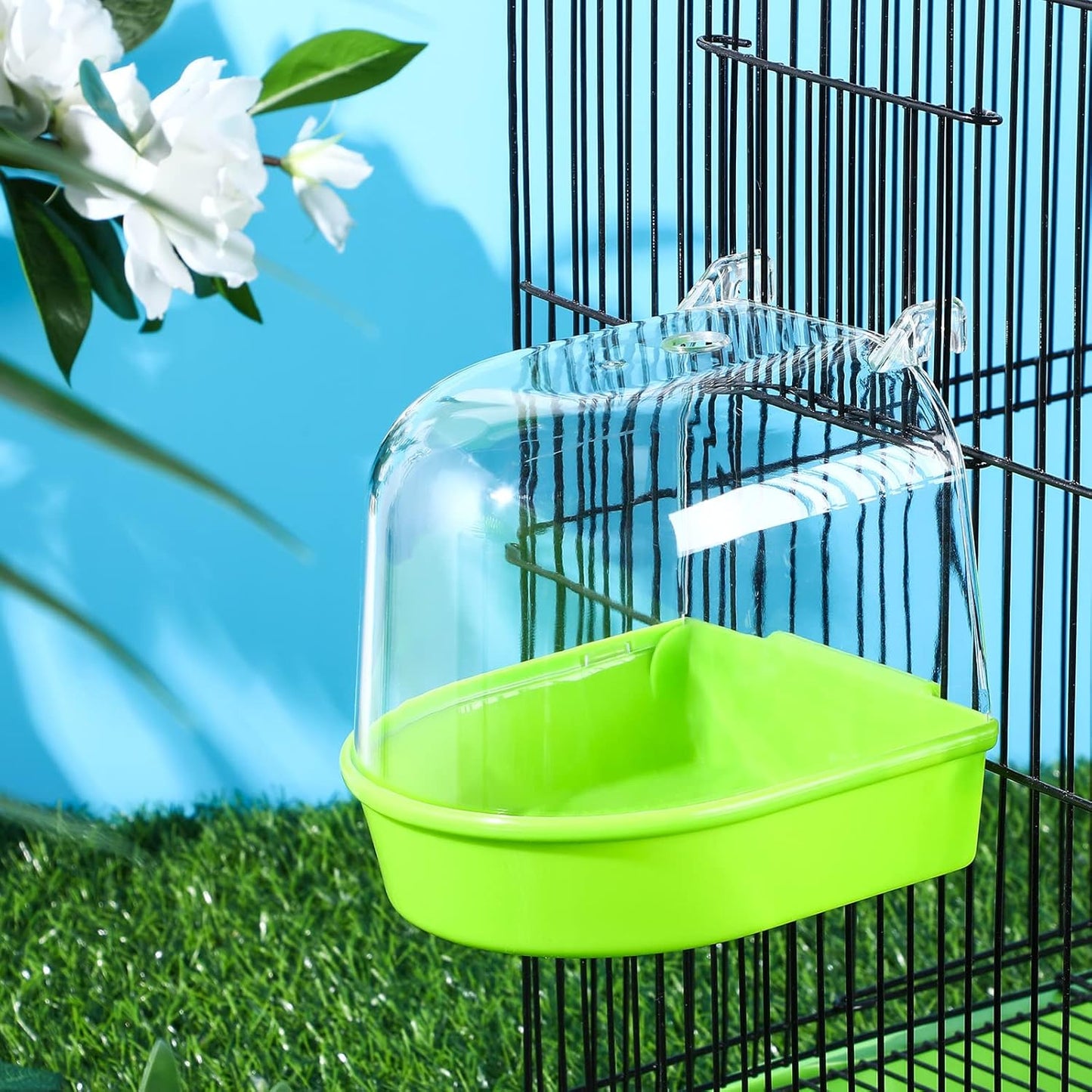 Bird using the enclosed bath box