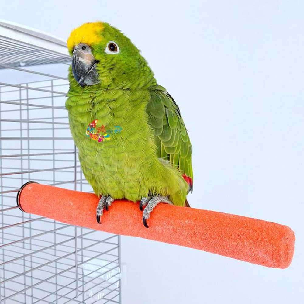 10 Pcs Bird Perch Stand - Colorful Paw-Grinding Sticks for Parakeets, Cockatiels & Small Birds (Cage Accessories)