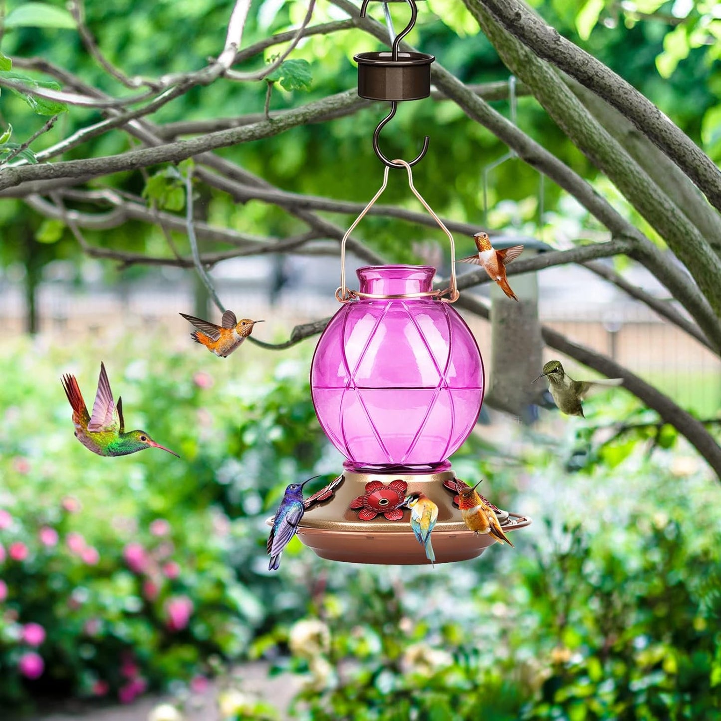 Glass Hummingbird Feeder – Hanging Outdoor Bird Feeder with 5 Feeding Ports, 20oz, Garden & Patio Decor (2-Pack)